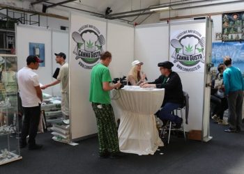 Grosses-Interesse-an-Kochen-mit-Cannabinoiden