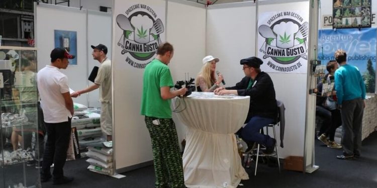Grosses-Interesse-an-Kochen-mit-Cannabinoiden