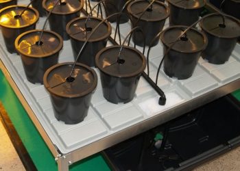 Grow-Kompaktsystem-mit-modularem-Aufbau-10055