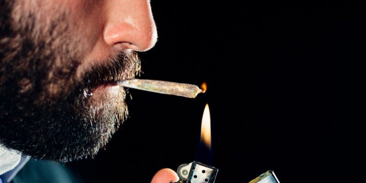Studium-dank-Marihuana-Steuern