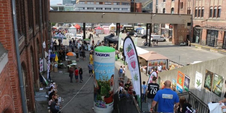 Viel-Platz-zum-Chillen-bei-gutem-Maiwetter