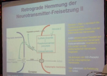 Wer-versteht-nun-wie-Cannabinoide-im-Körper-wirken
