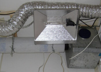 Die-Growkammer-Einrichtung-richtig-einplanen