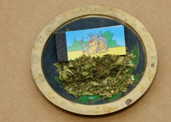 Kann-denn-Glücklich-sein-verboten-sein