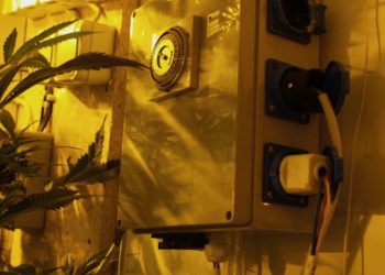 Zeitversetzte Beleuchtung gegen Hitzeprobleme