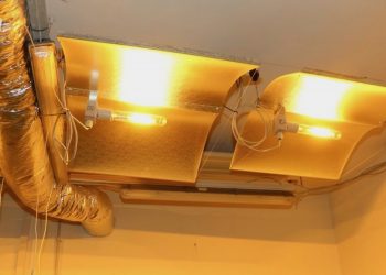 Welche-Beleuchtung-verwendet-wird-sollte-vor-dem-Kammerbau-schon-geplant-werden