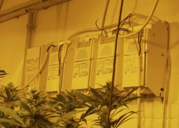 Growraum verkabeln: Grundlagenwissen Wechselstrom