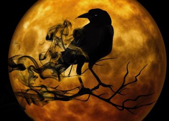 Halloween – Neuigkeiten, Kostüme und lustige Cannabis-Kürbisse