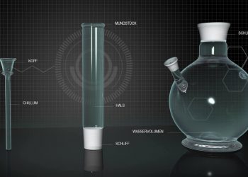 Was du über die BONG wissen solltest