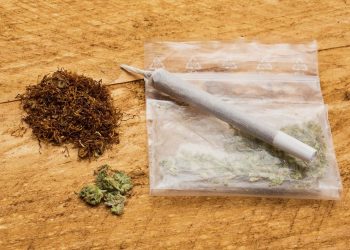 Wo Cannabis das Leben kostet