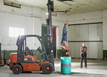 CANNABIS – die neue Serie ab 8. Dezember auf ARTE