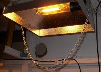 Für die richtige Ausleuchtung die Lichtstärke messen