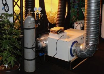 Growkammer Verkabelung richtig planen