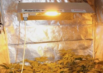 Hohe Stromrechnung oder Strom zapfen?