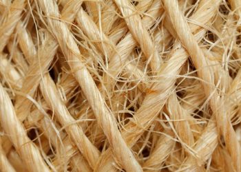 Ökologische und ökonomische Möglichkeiten von Hanf