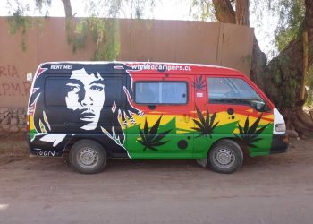 Pro und Contra Cannabis – Politiker vermehrt für Legalisierung