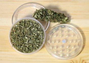 Verwendungsmöglichkeiten für Bioplastik