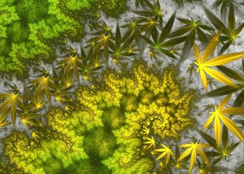 Was sagen die Deutschen zum Thema Cannabis?