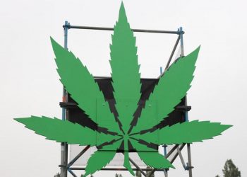 Das Restrisiko beim Guerillagrowing