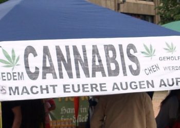 Hanfpassion Medizinhanfhandel realisierbar?