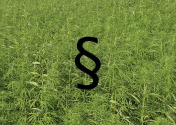 Wir sind an internationale Verträge gebunden …