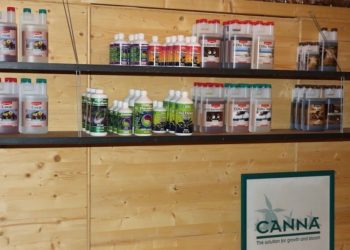 Marihuana Düngerprodukte unterscheiden sich