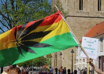 Hanf Magazin Neujahrspläne für 2017