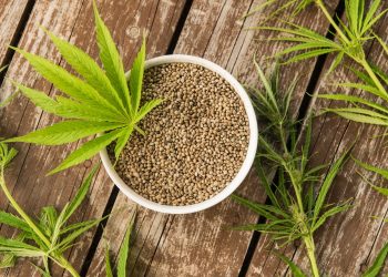 Hanfsamen für Deine Gesundheit