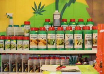 Welcher Strain verträgt viel Marihuanadünger?