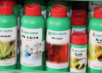 Wie ein Spurenelemente Mangel aussehen kann