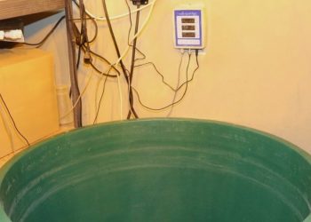 PH Messgeräte mit Glassonde sind pflegebedürftig