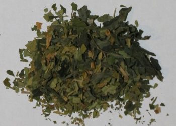 Entstehung des Begriffs Drogen