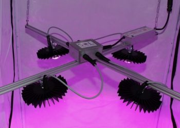 Verschiedene Growkammer Leuchtmittel