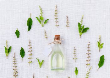 Allgemeine-Fakten-zum-Thema-CBD