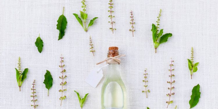 Allgemeine-Fakten-zum-Thema-CBD