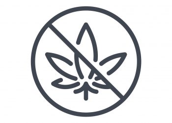 Allgemeines-Cannabisverbot-bald-nicht-mehr-haltbar