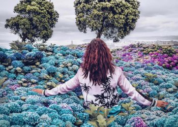 Wie du dein Zuhause mit guter Atmosphäre und positiven Vibes füllst