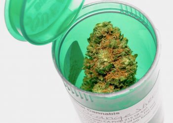 Cannabis bei Organtransplantation