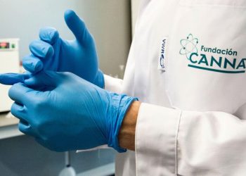 Susan van Brunschot über Sortenzüchtungen, Qualität und Bewusstseinswandel