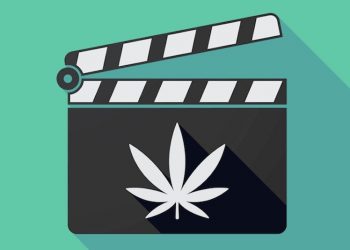 Serientipp: Amerikas Kiffer-Kultur