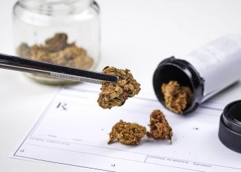 Cannabis auf Rezept – Aufklärung für die Ärzte