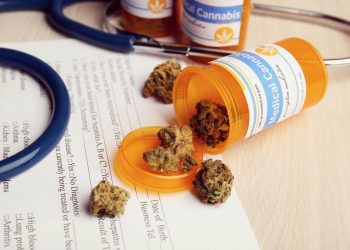 Leafly – Neues Wissensportal für Cannabismedizin