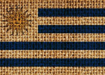 Cannabislegalisierung – zeigt Uruguay, wie es gehen könnte?