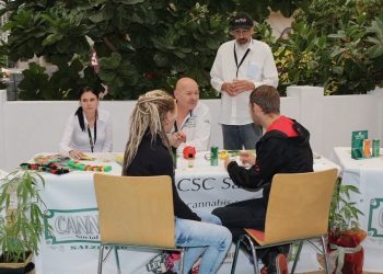 Free Willi Interview