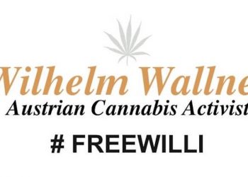 Free Willi