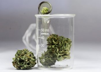 Helfen Cannabinoide bei Demenz?