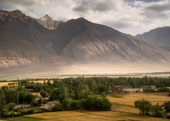 Haschischproduktion-in-Afghanistan