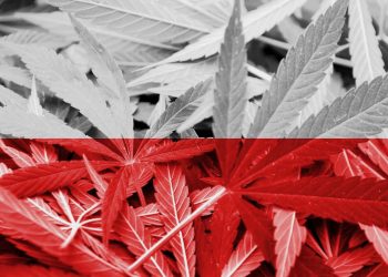 Polen-Cannabis