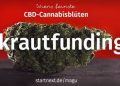 krautfunding_magu-cbd