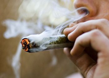 Cannabis und Tabak – Die ideale Mischung?